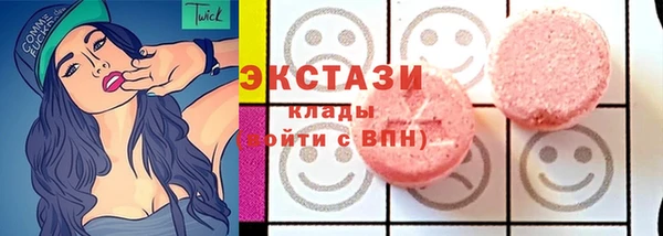 дмт Богородск