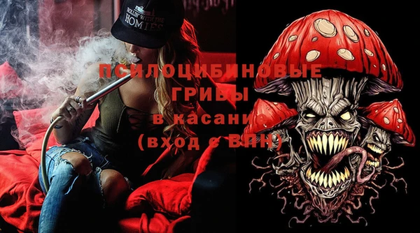 дмт Богородск