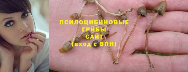 винт Бронницы