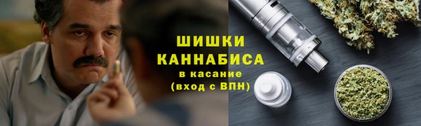 дмт Богородск