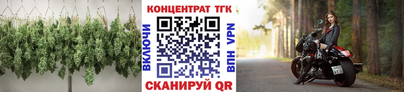 хочу   Мичуринск  hydra ТОР  Дистиллят ТГК Wax 