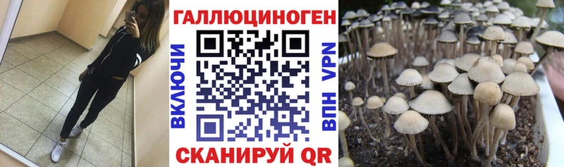 kraken ссылки Мичуринск Галлюциногенные грибы мицелий