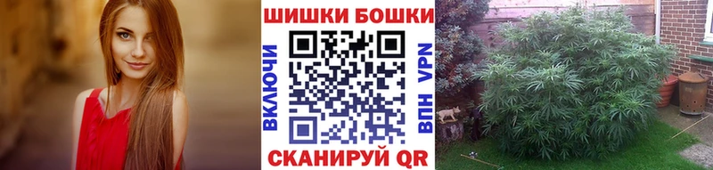 купить наркотик  Мичуринск  МАРИХУАНА ГИДРОПОН 